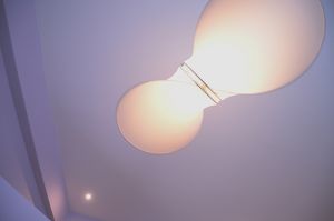 17069_313.jpg